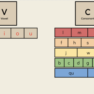 Orton-Gillingham Virtual Phonics Lesson: Vowel + Consonant Words